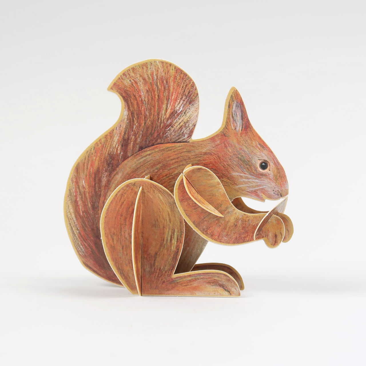 Pop-Out Card by Alice Melvin - Squirrel
