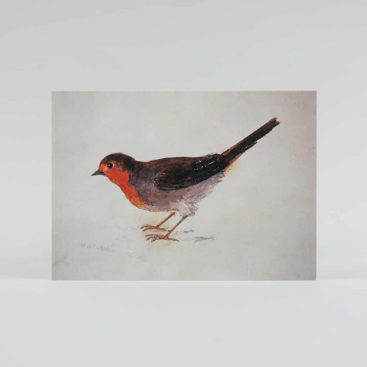 Robin by J. M. W. Turner