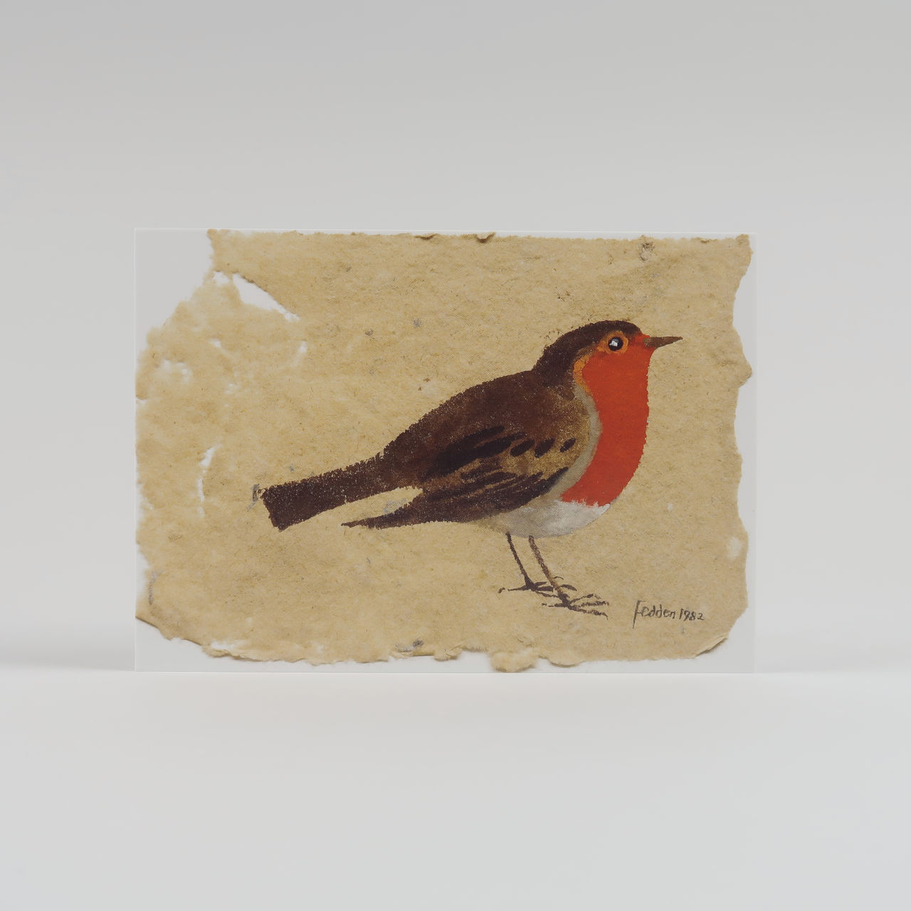 Mary Fedden - Robin