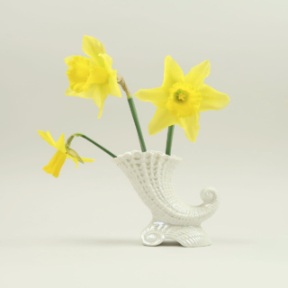 Cornucopia Lustre Vase