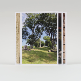 Set of 10 Shropshire Postcards